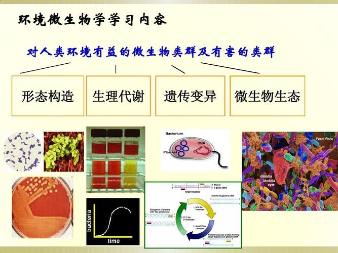 环境工程微生物学-绪论ppt